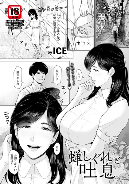 b061bangl02548pl