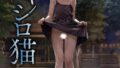 b129dbnka15631pl