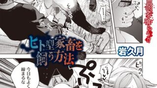 b182asnw02066pl