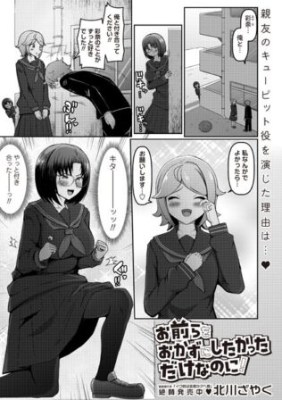 お前らをおかずにしたかっただけなのに!【無料試聴】 28 b182asnw02099pl