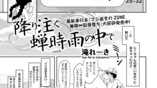 b390bleed04299pl