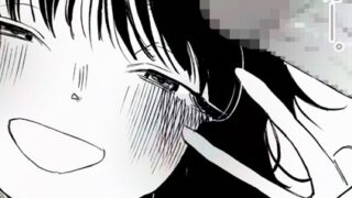 b390bleed04453pl