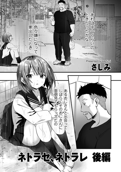 b390bleed04458pl