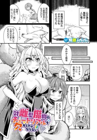 対雌型魔物のチュートリアルも欠かしてはならない【無料試聴】 33 b472abnen02676pl