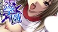 b613amon11353pl