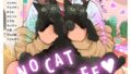 b866afgwi01706pl