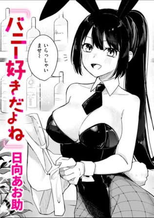 b915awnmg02684pl