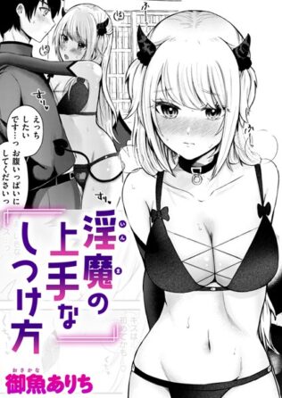 b915awnmg02697pl