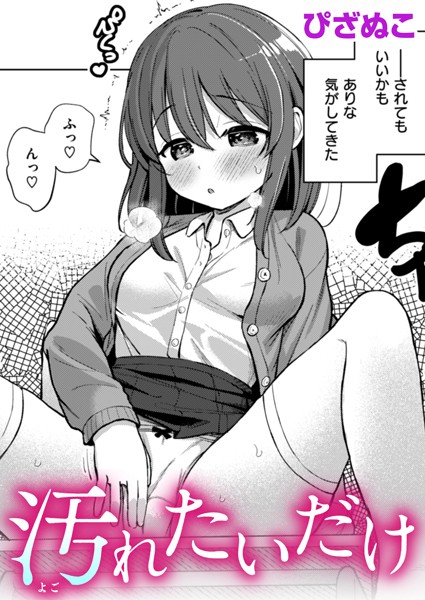 b915awnmg02788pl