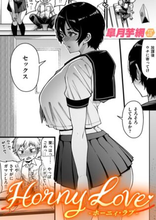 b915awnmg02818pl