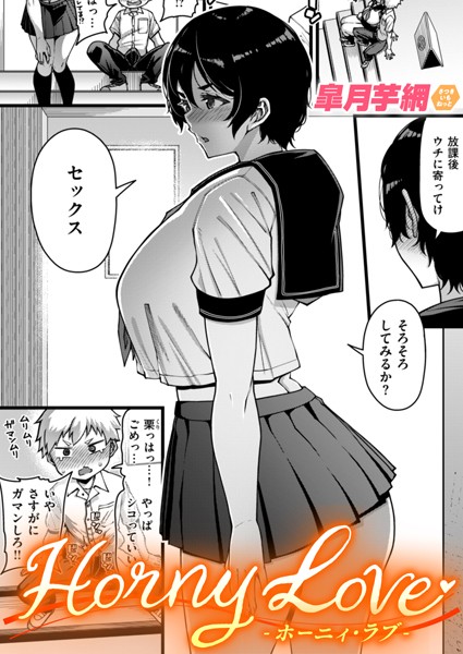 b915awnmg02818pl