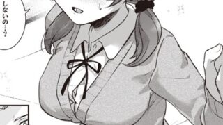 b915awnmg02931pl