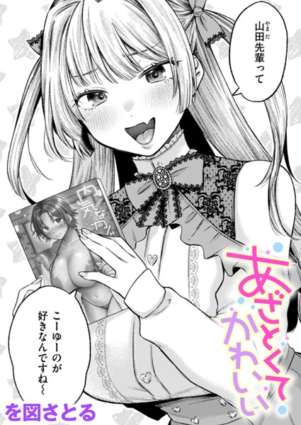 b915awnmg03002pl