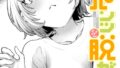 b915awnmg03008pl