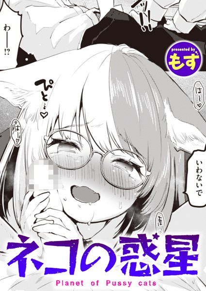 b915awnmg03013pl