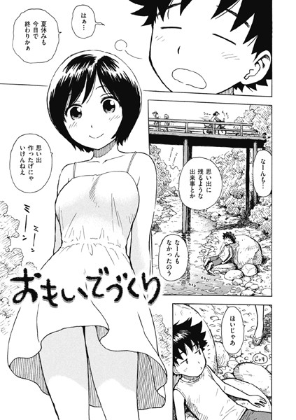 b915awnmg03073pl