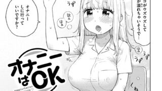 b915awnmg03287pl