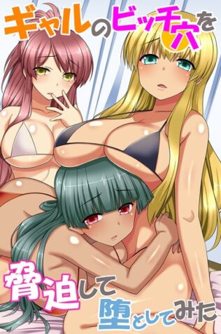 ギャルのビッチ穴を脅迫して堕としてみた【無料試聴】 38 k178adrrn01779pl
