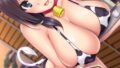 k187afrnt08701pl