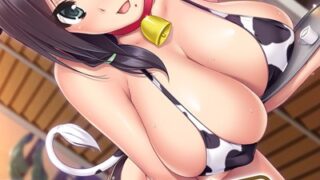 k187afrnt08701pl