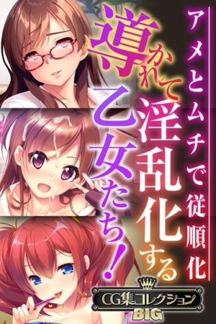 導かれて淫乱化する乙女たち!〜アメとムチで従順化〜【CG集コレクションBIG】【無料試聴】 30 k187afrnt08737pl