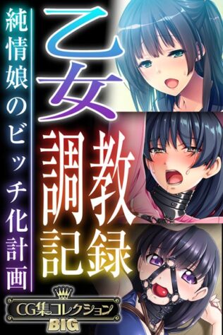 乙女調教記録〜純情娘のビッチ化計画〜【CG集コレクションBIG】【無料試聴】 22 k187afrnt09009pl