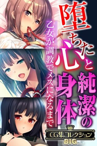 堕ちた心と純潔の身体〜乙女が調教でメスになるまで〜【CG集コレクションBIG】【無料試聴】 36 k187afrnt09072pl