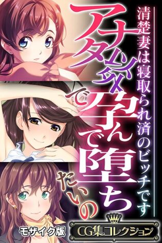 アナタ以外で孕んで堕ちたいの 〜清楚妻は寝取られ済のビッチです〜【CG集コレクション】 モザイク版【無料試聴】 27 k187afrnt11311pl