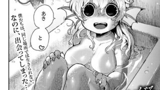 s011akamj02082pl