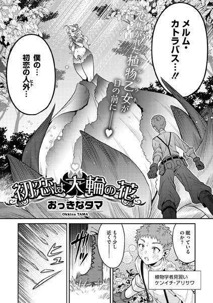 s011akamj02083pl
