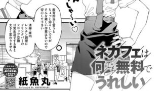 s011akamj02151pl