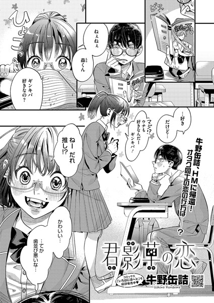 s011akamj02155pl