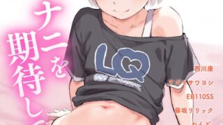 s011akamj02181pl