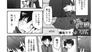 s011akamj02183pl
