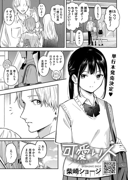 s011akamj02193pl