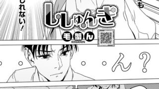 s011akamj02199pl