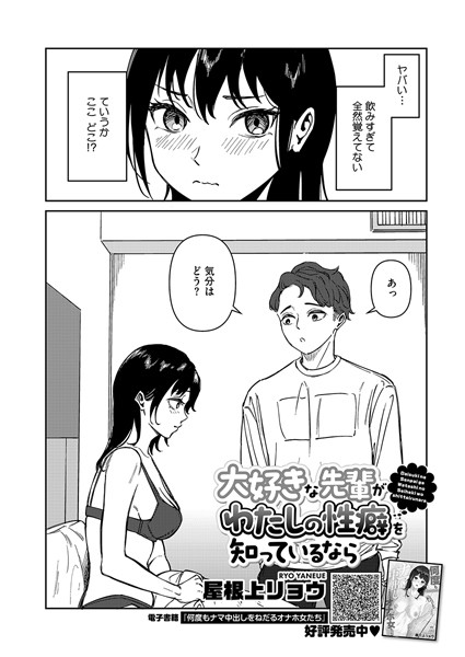 s011akamj02204pl