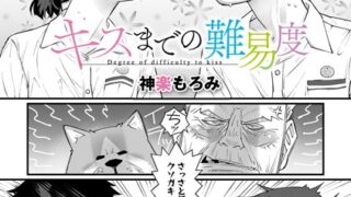 s011akamj02209pl