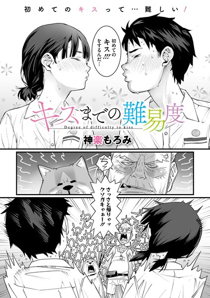 s011akamj02209pl
