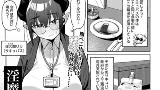 s011akamj02222pl
