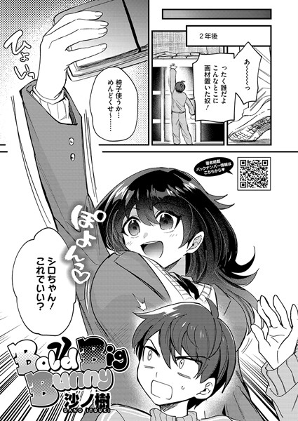 s011akamj02232pl