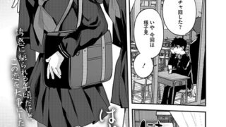 s011akamj02239pl
