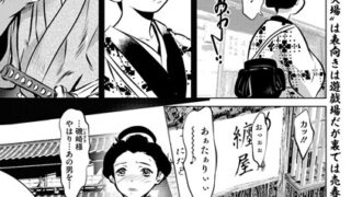 s011akamj02248pl