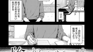 s011akamj02344pl