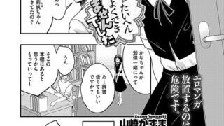 s011akamj02347pl