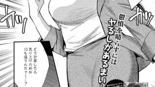 s011akamj02383pl