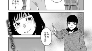 s011akamj02387pl