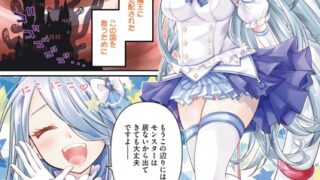 s011akamj02409pl