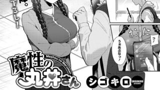 s011akamj02421pl