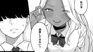 s011akamj02435pl